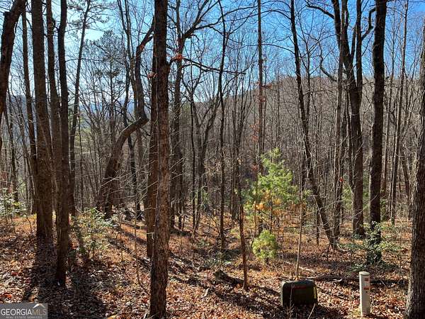 5 Acres of Residential Land for Sale in Clayton, Georgia