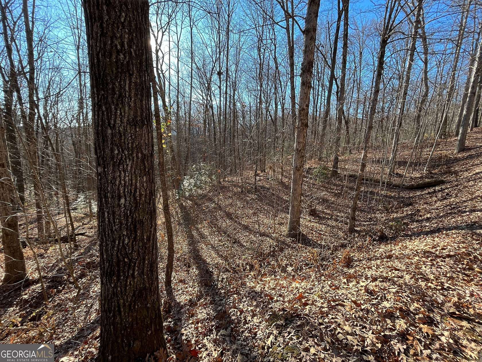 3 Acres of Residential Land for Sale in Clayton, Georgia