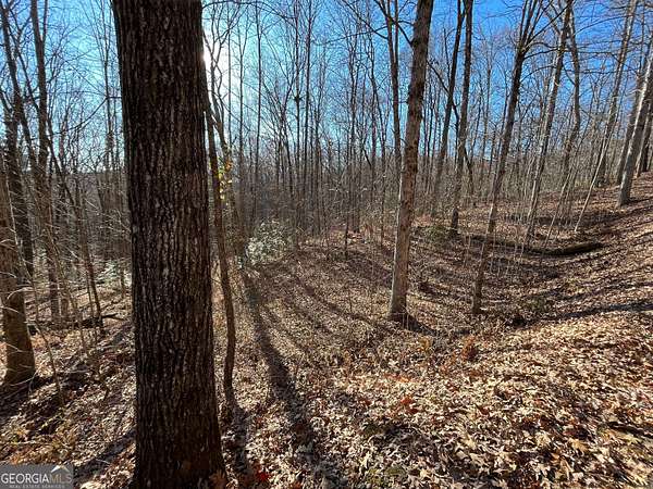 3 Acres of Residential Land for Sale in Clayton, Georgia