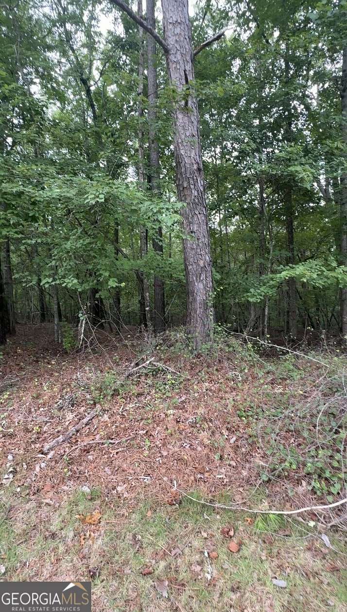 2.6 Acres of Residential Land for Sale in Douglasville, Georgia