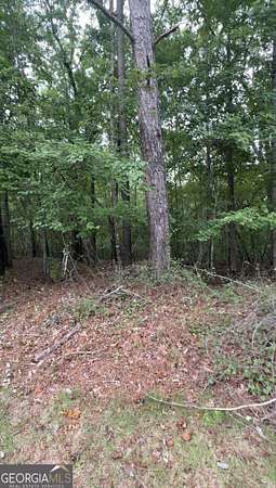 2.6 Acres of Residential Land for Sale in Douglasville, Georgia