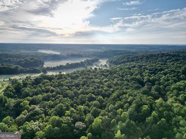 20 Acres of Land for Sale in Eastanollee, Georgia