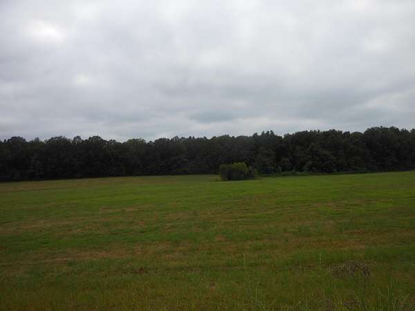 63.3 Acres of Agricultural & Residential Land for Sale in Ecru, Mississippi