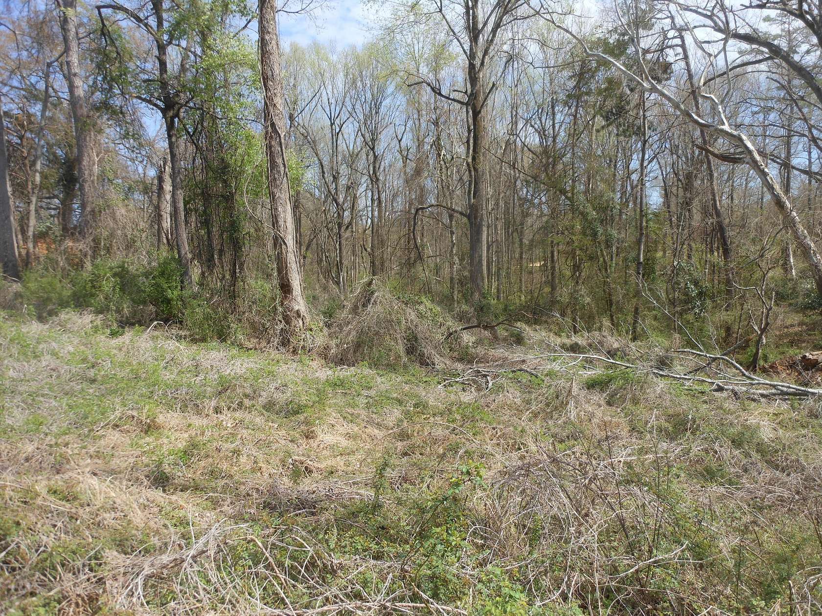 1.39 Acres of Land for Sale in Pontotoc, Mississippi