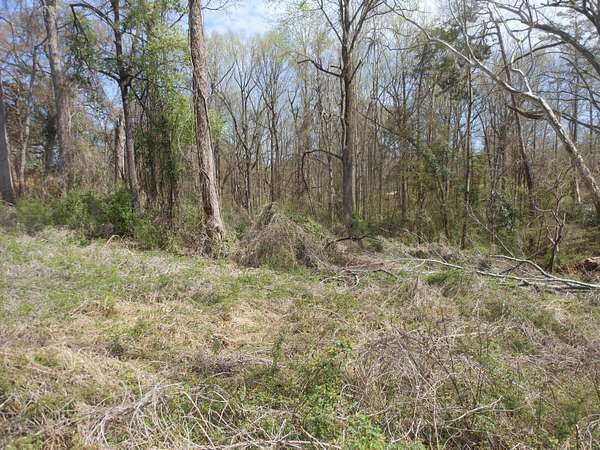 1.39 Acres of Land for Sale in Pontotoc, Mississippi