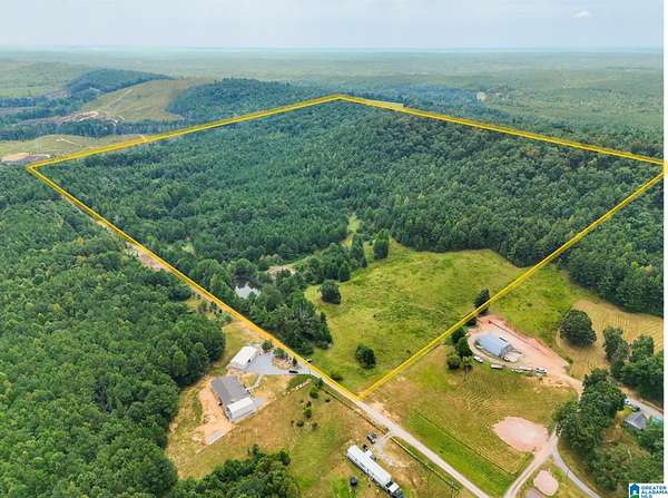 69.5 Acres of Recreational Land for Sale in Clanton, Alabama