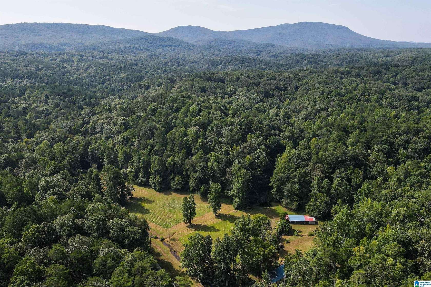 40 Acres of Land with Home for Sale in Oxford, Alabama
