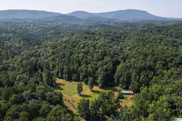 40 Acres of Land with Home for Sale in Oxford, Alabama