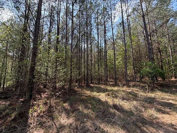 418 Acres of Recreational Land for Sale in Midway, Alabama