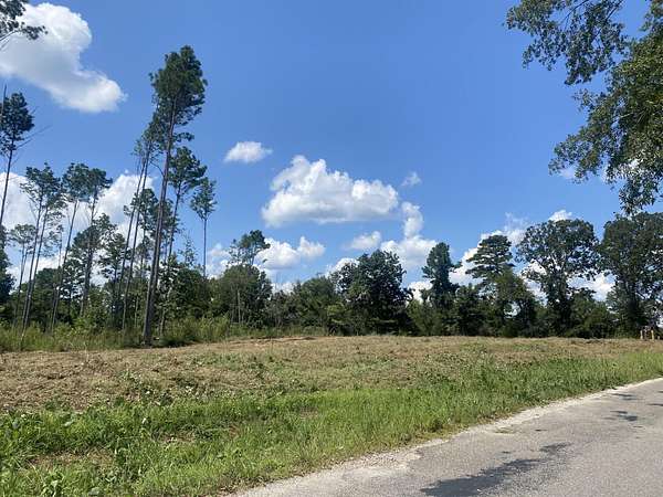 16.6 Acres of Land for Sale in Toccopola, Mississippi