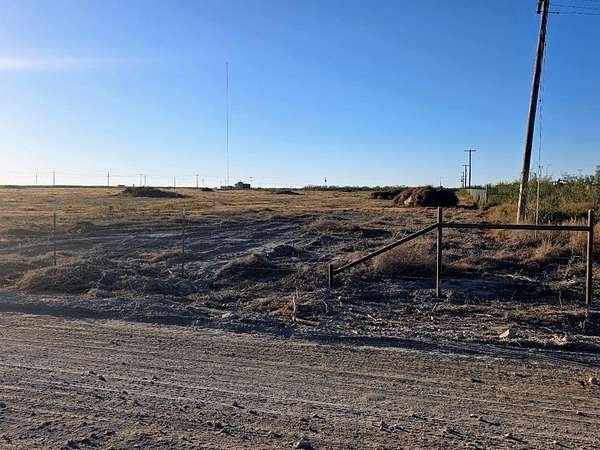 20 Acres of Mixed-Use Land for Sale in Big Lake, Texas