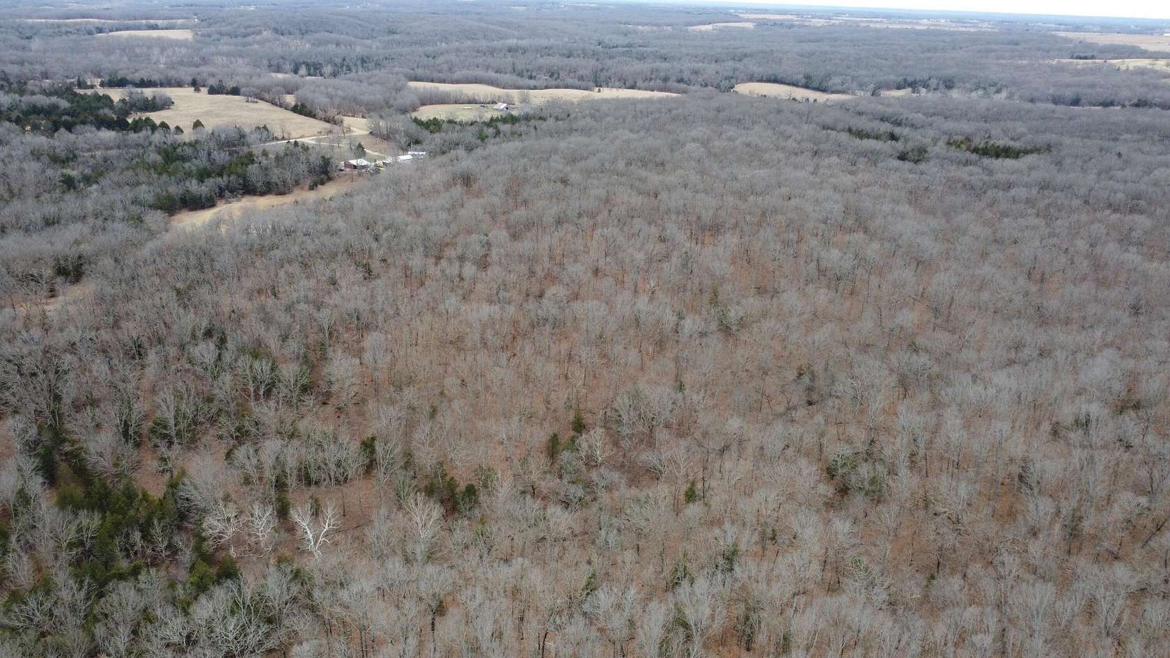 99.5 Acres of Recreational & Residential Land for Sale in Cross Timbers, Missouri
