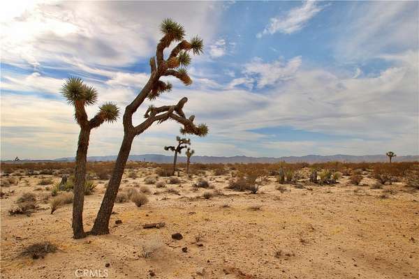 2.1 Acres of Residential Land for Sale in Joshua Tree, California