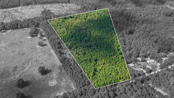 13.9 Acres of Recreational & Residential Land for Sale in Lufkin, Texas