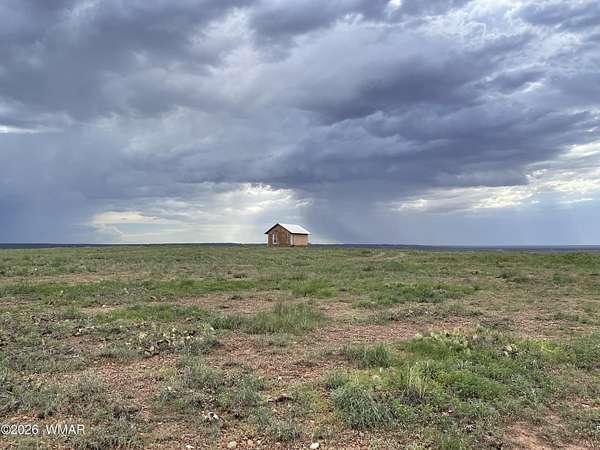 36.5 Acres of Recreational & Residential Land for Sale in Concho, Arizona
