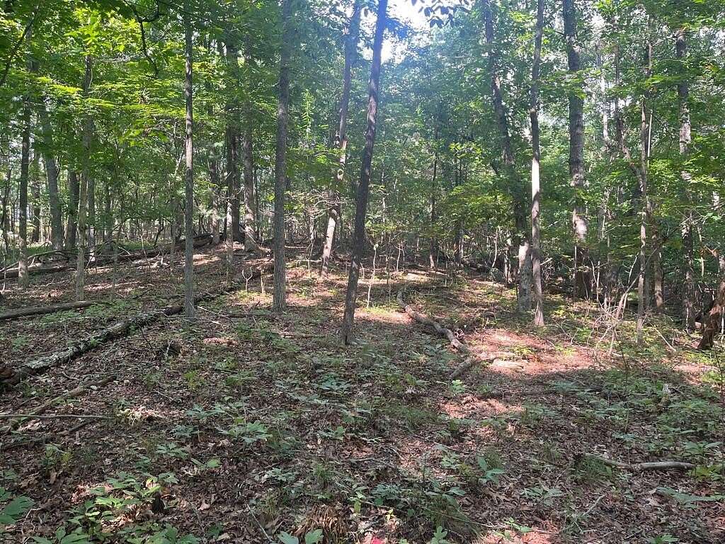 0.24 Acres of Residential Land for Sale in Crossville, Tennessee