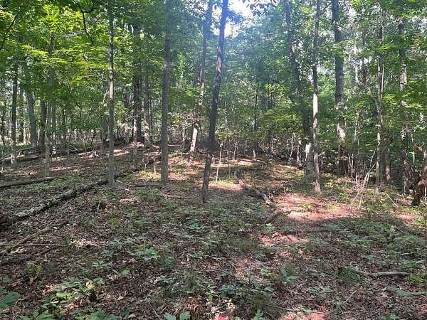 0.24 Acres of Residential Land for Sale in Crossville, Tennessee