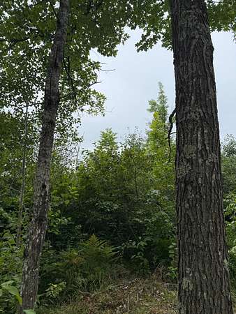 39.7 Acres of Recreational & Residential Land for Sale in Dairyland, Wisconsin