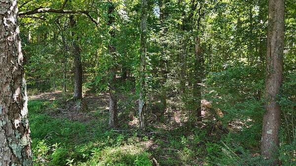 2 Acres of Residential Land for Sale in Decatur, Tennessee