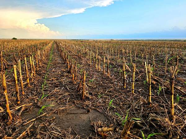 40 Acres of Land for Sale in Alton, Kansas