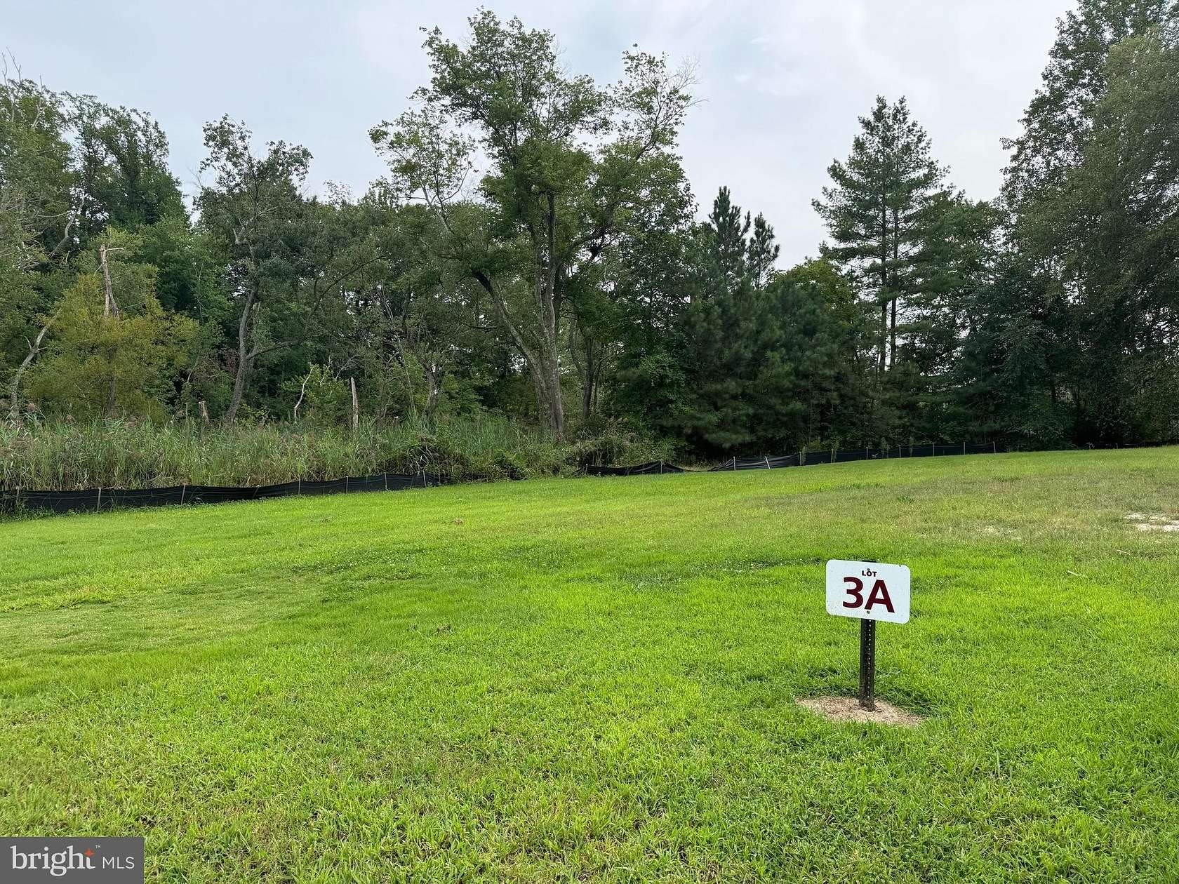 0.33 Acres of Residential Land for Sale in Milton, Delaware