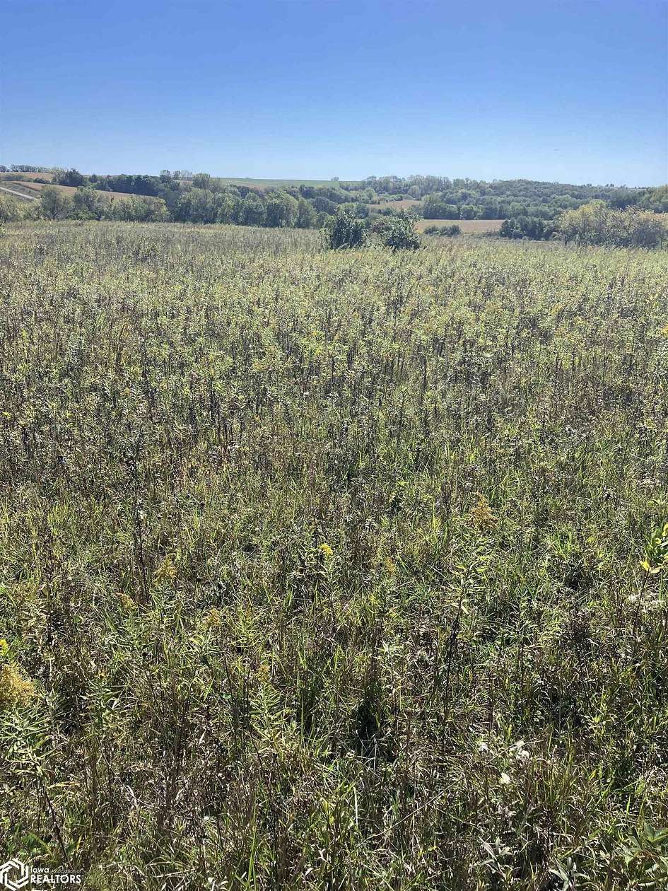 20 Acres of Land for Sale in Mount Ayr, Iowa