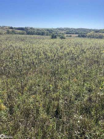 20 Acres of Land for Sale in Mount Ayr, Iowa