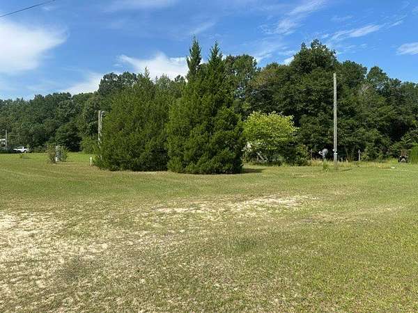 2 Acres of Residential Land for Sale in Newton, Georgia