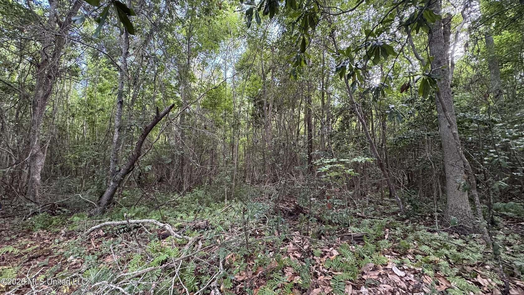 0.26 Acres of Residential Land for Sale in Ocean Springs, Mississippi
