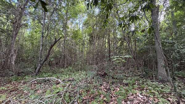 0.26 Acres of Residential Land for Sale in Ocean Springs, Mississippi