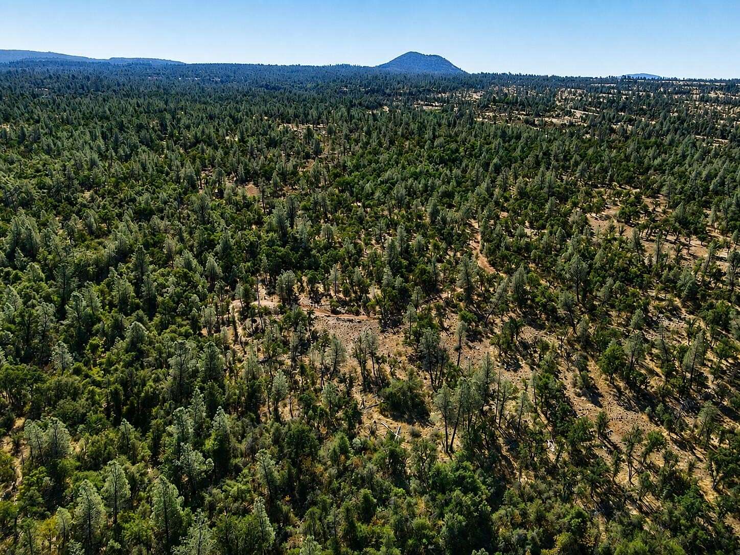 161 Acres of Recreational & Residential Land for Sale in Shingletown, California