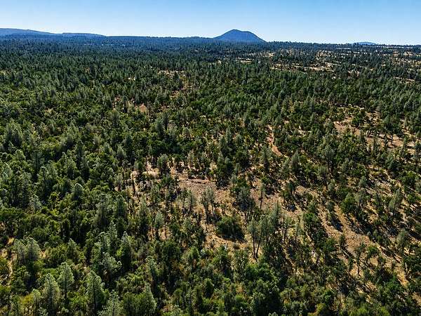 161 Acres of Recreational & Residential Land for Sale in Shingletown, California