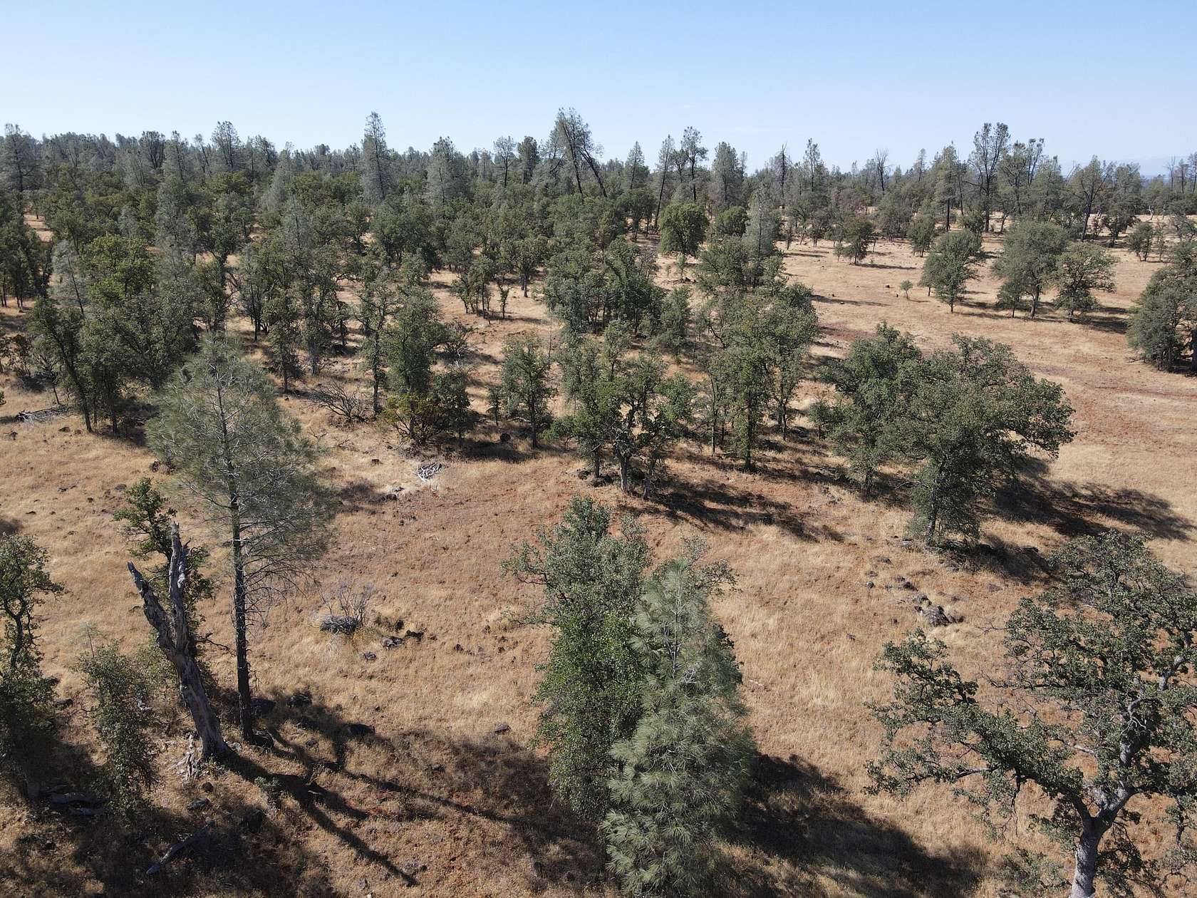 166 Acres of Recreational Land for Sale in Anderson, California