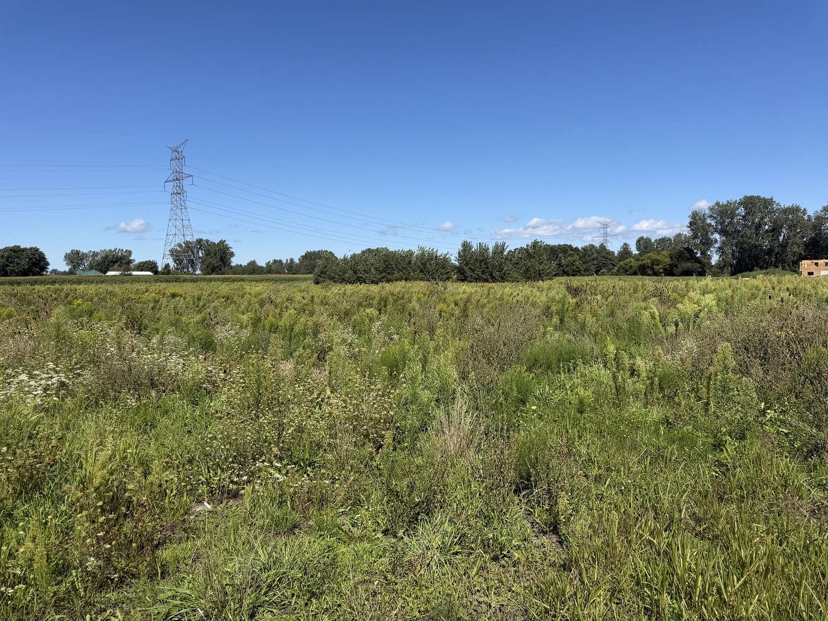 2.9 Acres of Land for Sale in Zeeland, Michigan