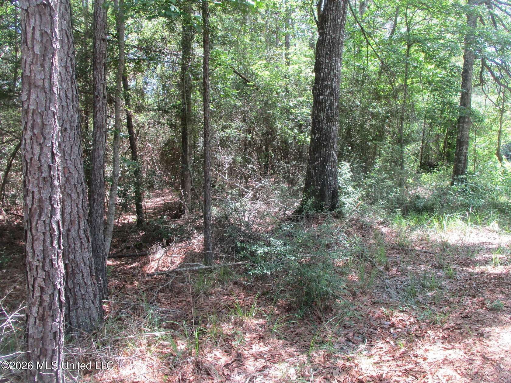 42.1 Acres of Recreational Land for Sale in Carson, Mississippi