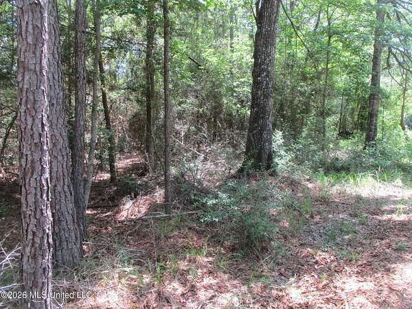 42.1 Acres of Recreational Land for Sale in Carson, Mississippi