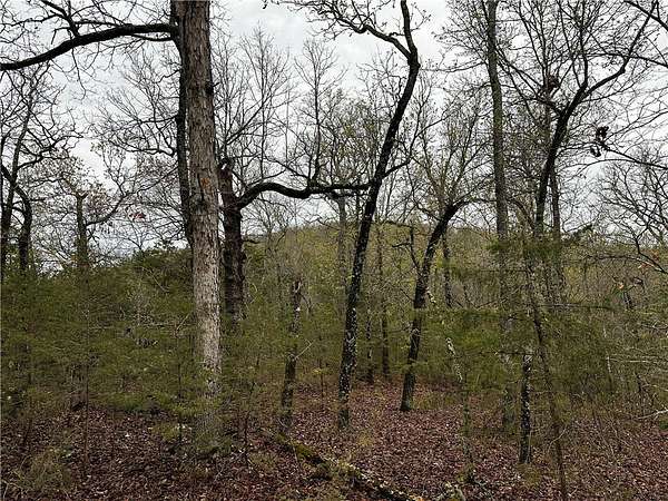 20 Acres of Recreational Land for Sale in Yellville, Arkansas