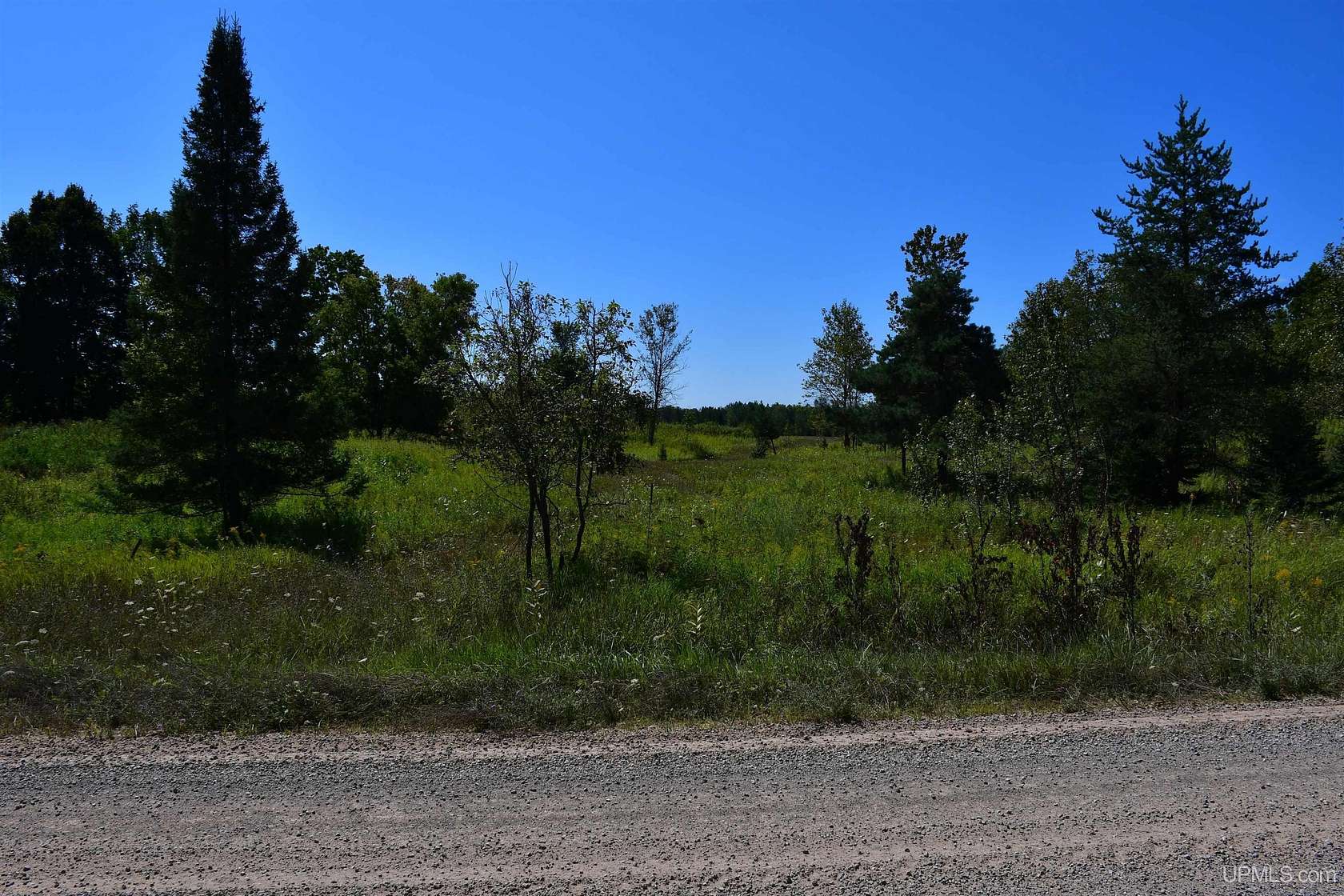 20 Acres of Land for Sale in Brampton, Michigan