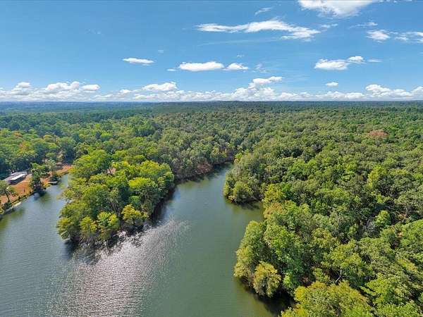 31.3 Acres of Recreational Land for Sale in Hemphill, Texas