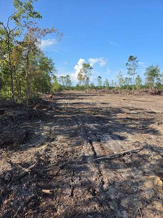 11 Acres of Land for Sale in Loris, South Carolina