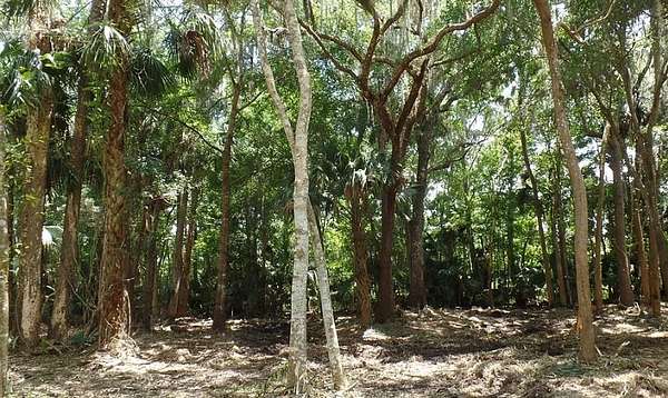 1.4 Acres of Residential Land for Sale in Enterprise, Florida