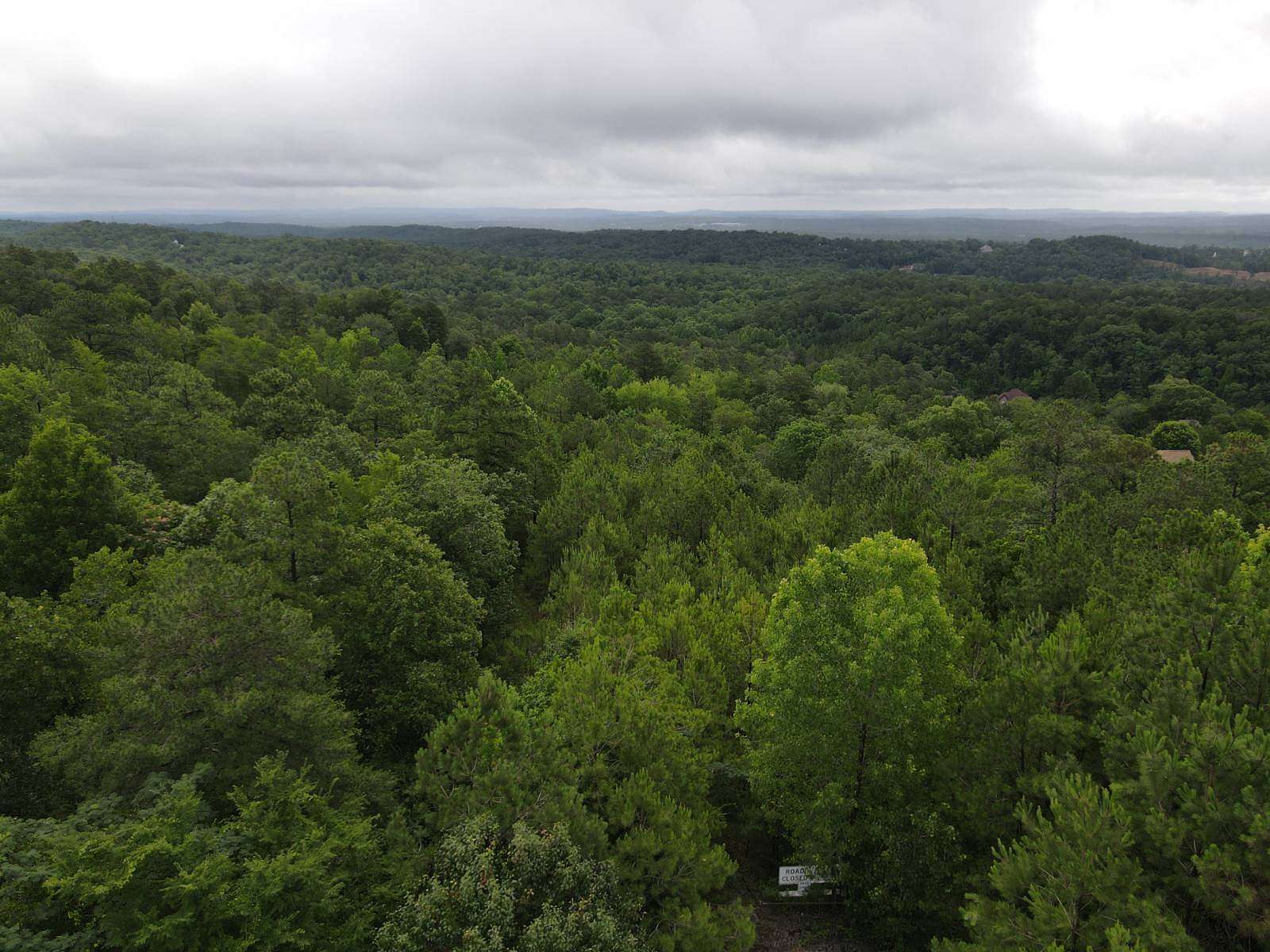 36 Acres of Land for Sale in Helena, Alabama