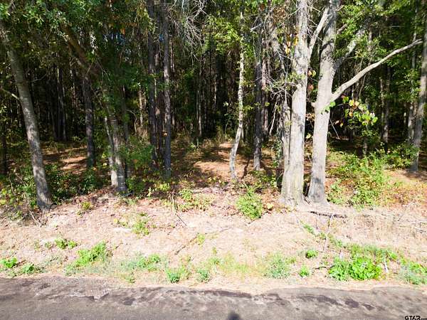 2 Acres of Residential Land for Sale in Pittsburg, Texas