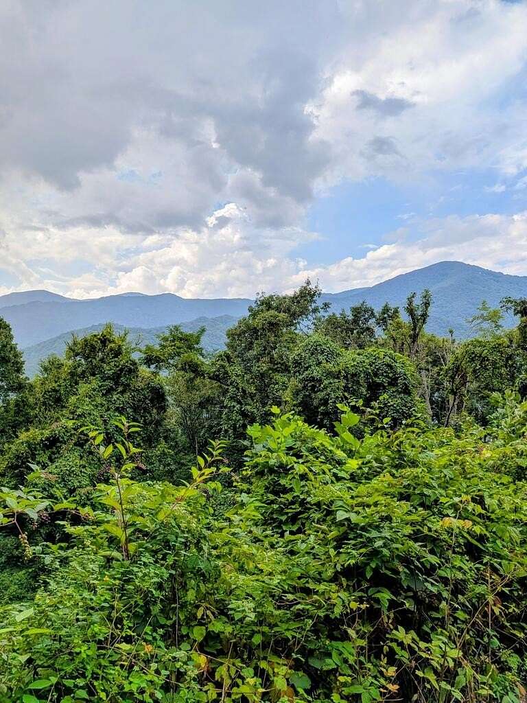 2 Acres of Residential Land for Sale in Maggie Valley, North Carolina