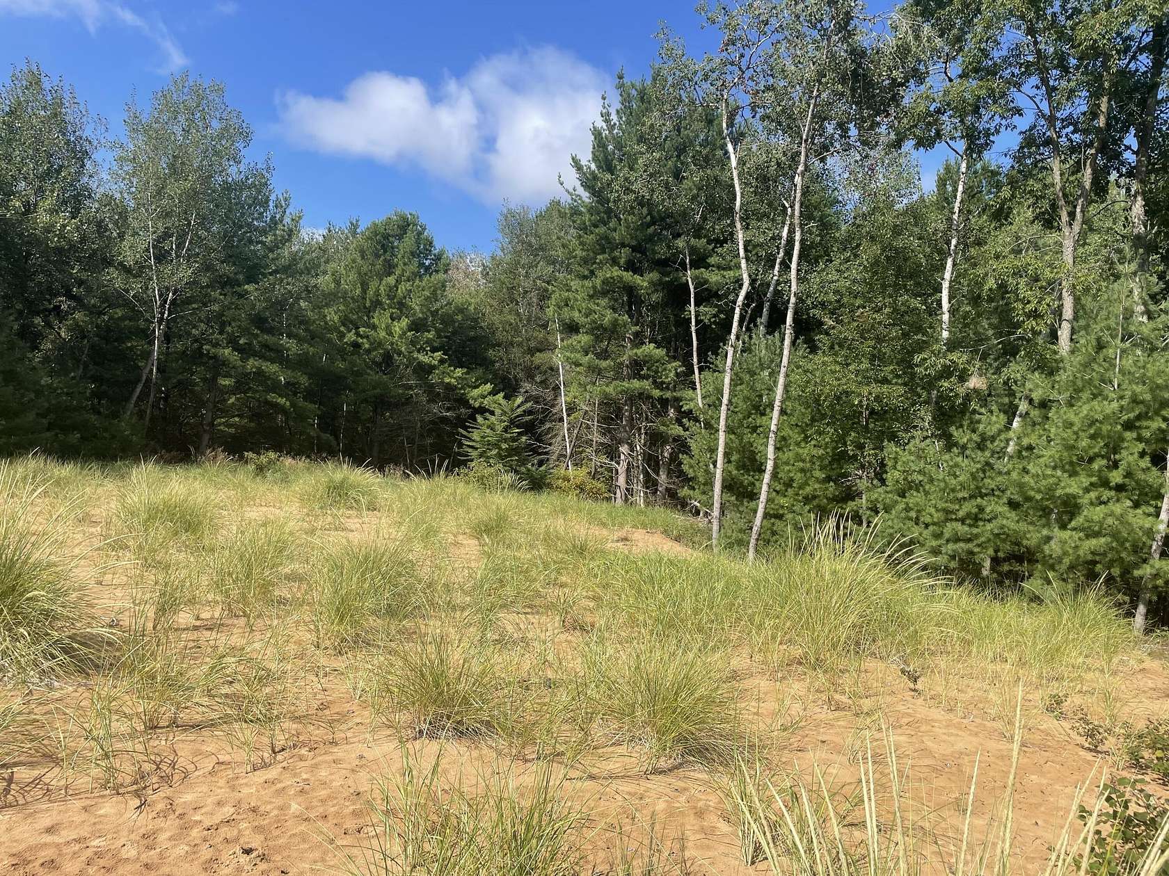2.66 Acres of Residential Land for Sale in Hart, Michigan