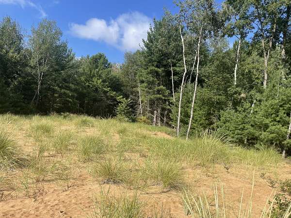 2.66 Acres of Residential Land for Sale in Hart, Michigan