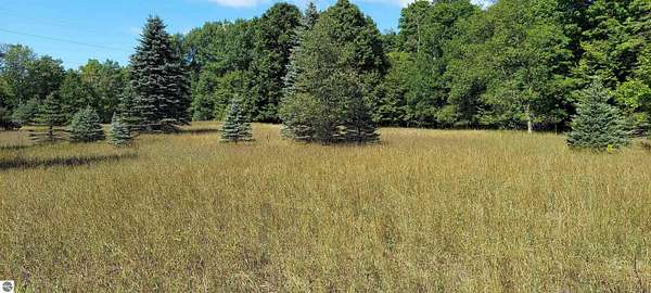 80 Acres of Recreational Land for Sale in Bellaire, Michigan