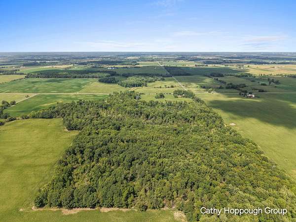 20 Acres of Recreational & Residential Land for Sale in Hubbardston, Michigan