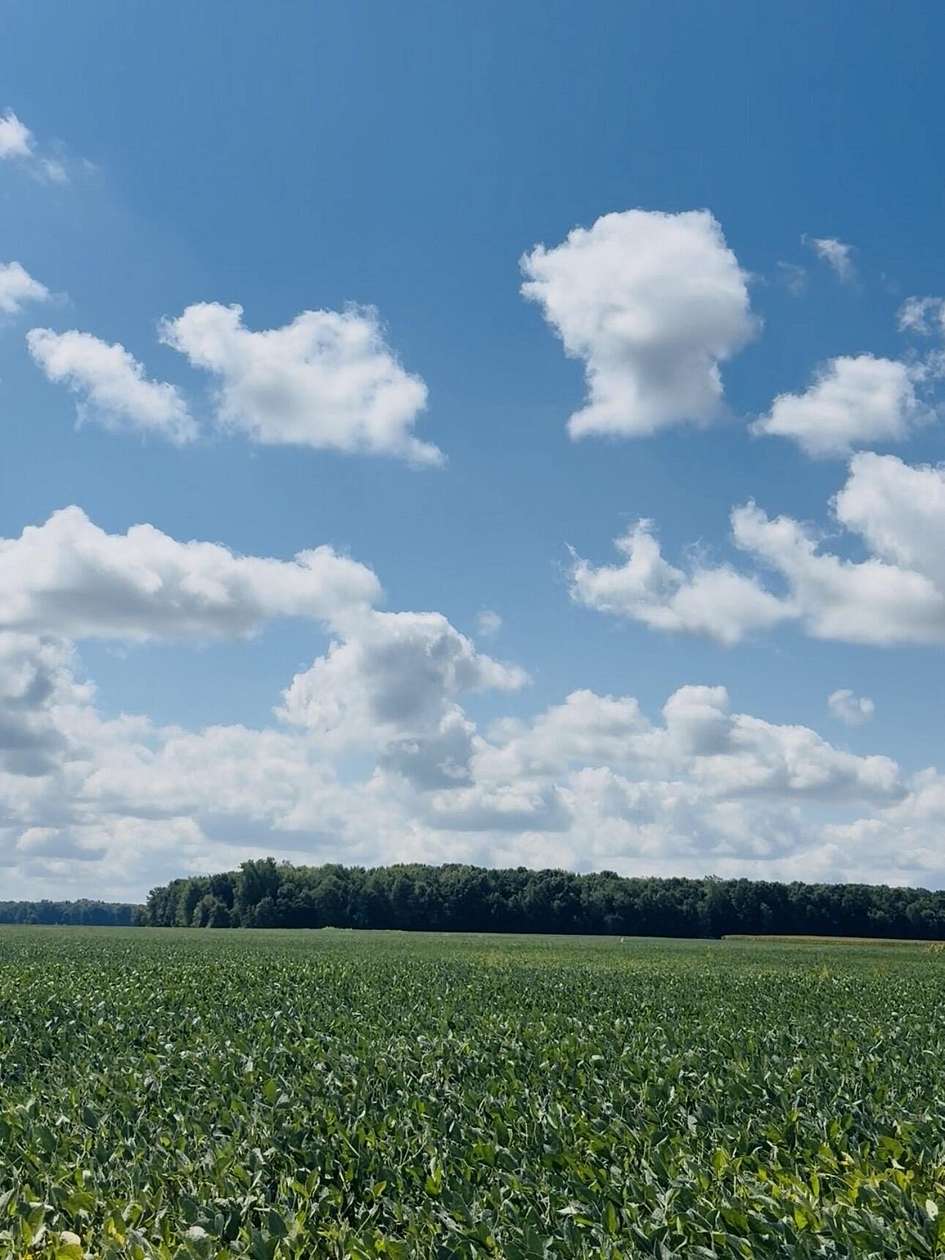 75 Acres of Land for Sale in Chesaning, Michigan