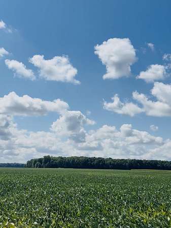 75 Acres of Land for Sale in Chesaning, Michigan